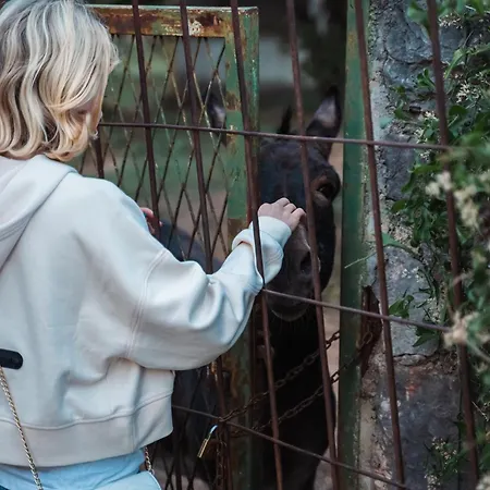 Vsg - 200m From Beach, Pool, Sauna & Jacuzzi * Klimno