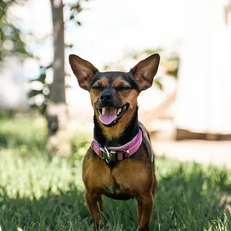 Vsg - 200m From Beach, Pool, Sauna & Jacuzzi *